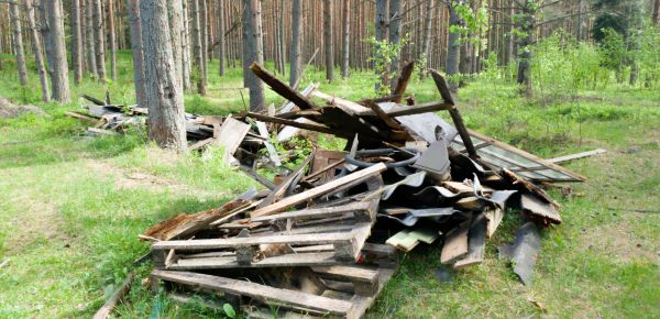 Debris Removal Service in Snellville